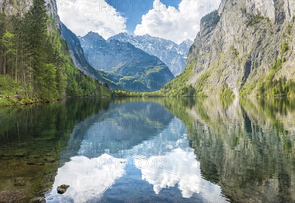 Obersee