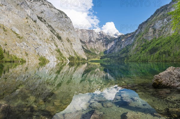 Obersee