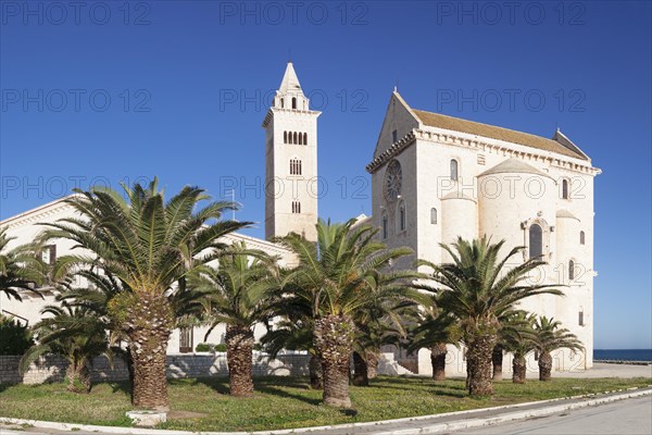 Cathedral San Nicola Pellegrino