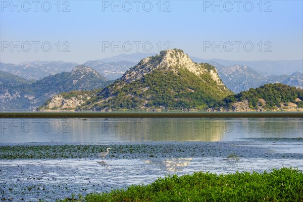 Lake Skadar