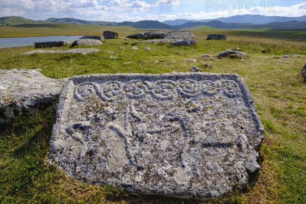 Gravestones stecci