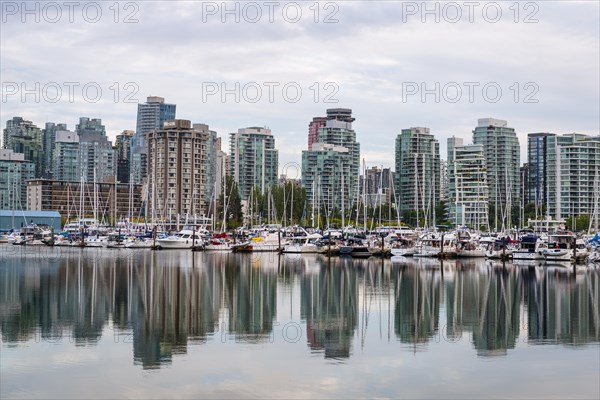 Skyscrapers and sailboats in the marina