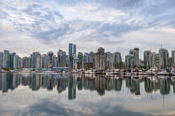 Skyscrapers and sailboats in the marina