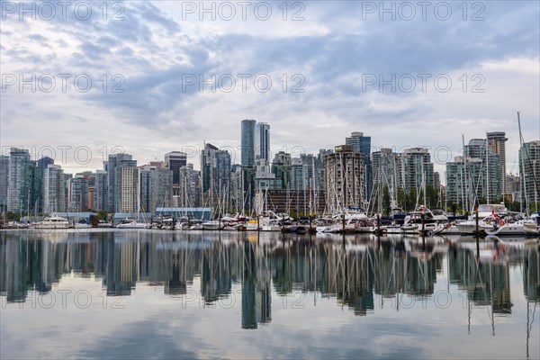 Skyscrapers and sailboats in the marina