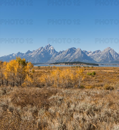 Autumn landscape