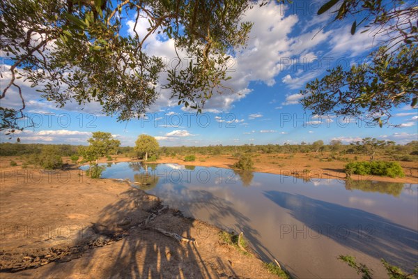 Waterhole