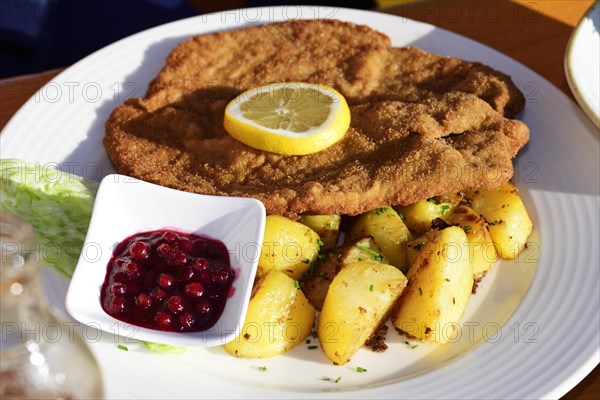 Wiener Schnitzel