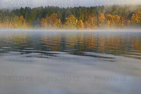 Autumn forest reflected in Lake Mohnesee