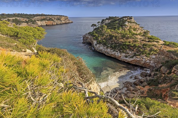 Rocky coast