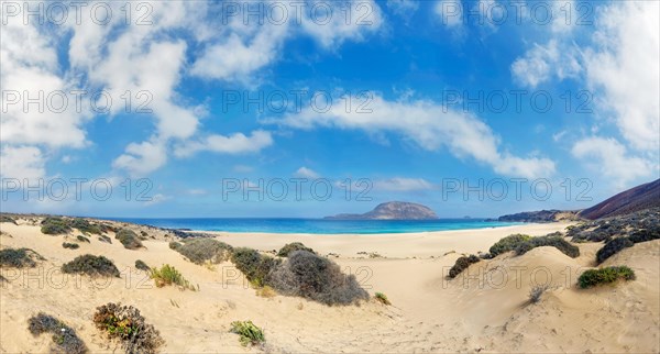 Dune landscape