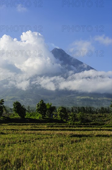 Volcano Mayon