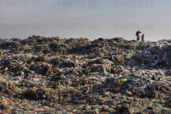 Garbage collector at garbage dump