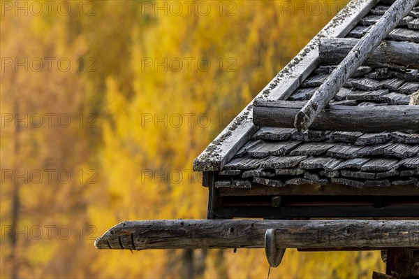 Mountain hut