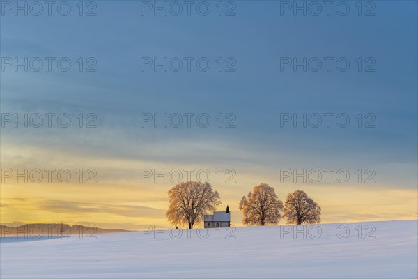 Chapel 14 emergency helpers with old trees in snow-covered landscape at sunrise