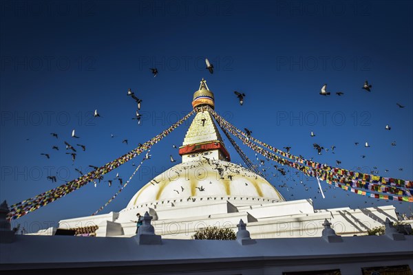 Boudhanath Stupa with birds