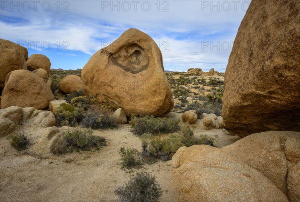 Sculpted Rocks