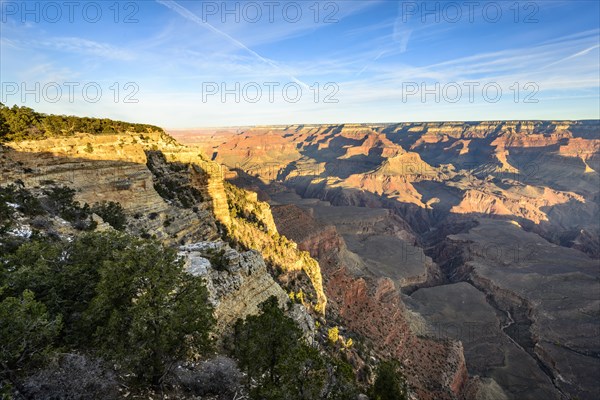 Canyon landscape