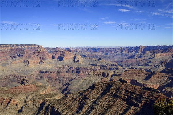 Canyon landscape