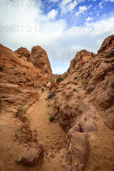 Rainbow Vista Trail