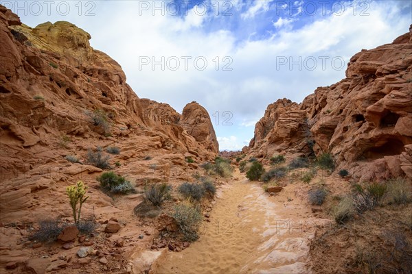 Rainbow Vista Trail