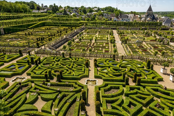 Gardens of Chateau de Villandry