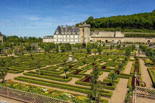 Chateau de Villandry and its gardens