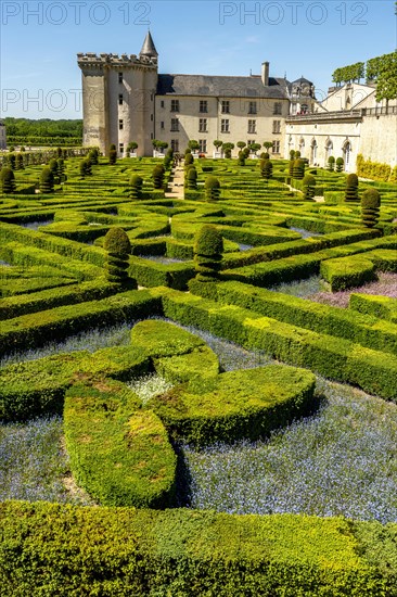 Chateau de Villandry and its gardens