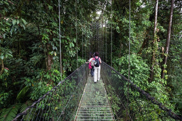Hikers on a suspension bridge in the tropical rainforest