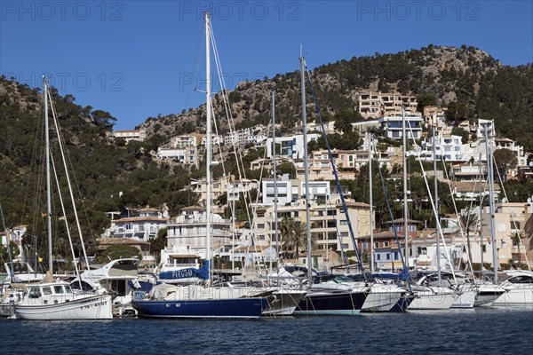 Yachts in the marina