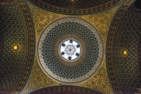 artfully Ceiling Vault