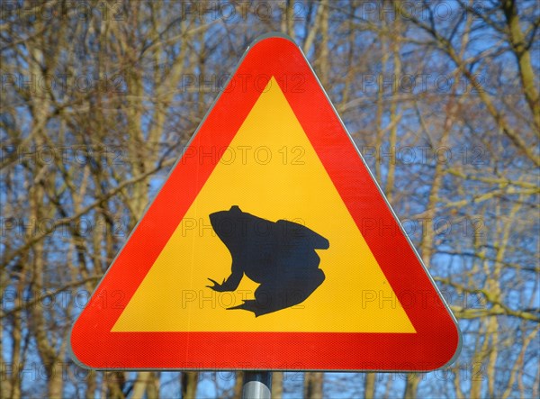 Sign for frog protection in Ystad sand forest