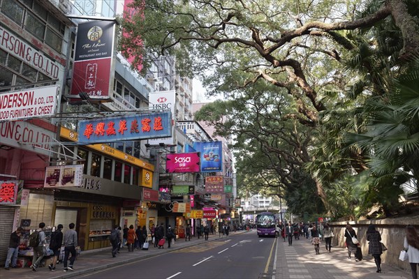 Road at Kowloon Park