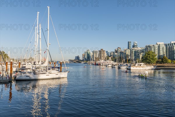 Marina with sailboats