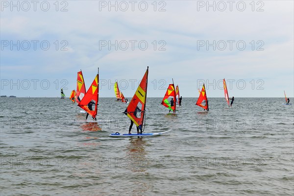 Surfers