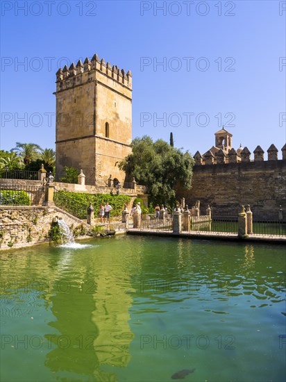 The gardens of Alcazar de los Reyes Cristianos