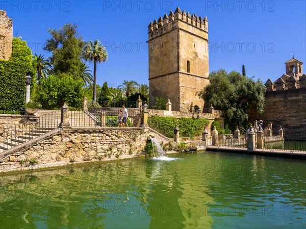 The gardens of Alcazar de los Reyes Cristianos