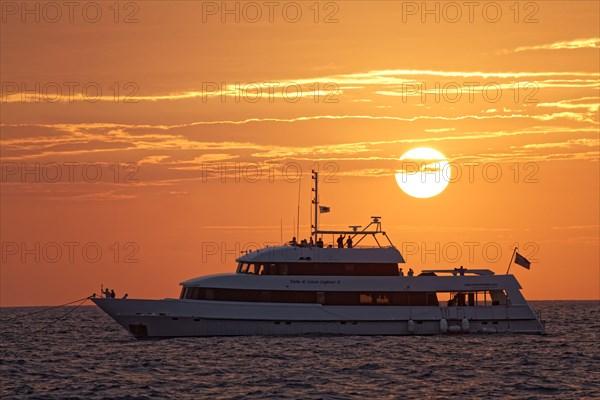 Whale watching and diving ship Turks & Caicos Explorer II