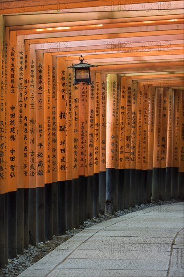 Lantern in arcade lined with torii gates