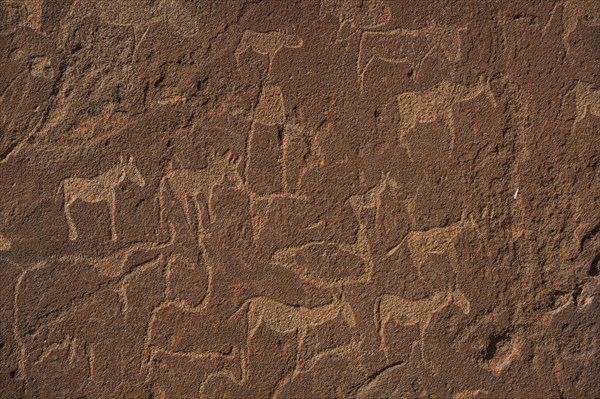 Ancient rock engravings