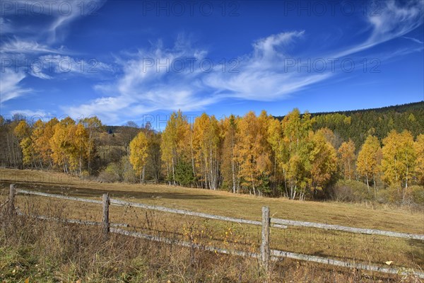 Autumn in the Sumava National Park