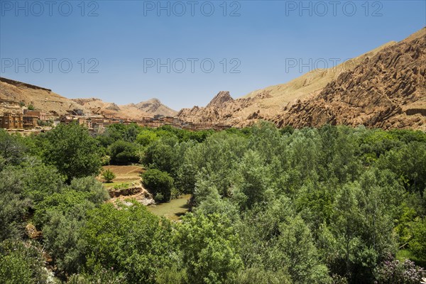 Oasis in Dades Gorge