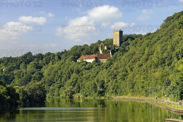 Ehrenberg Castle