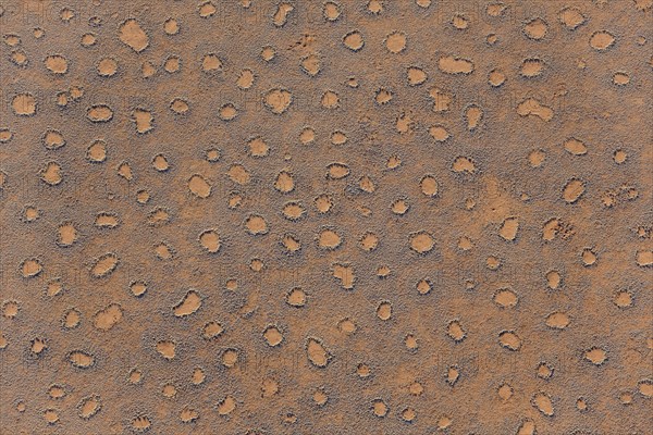 Aerial view from a hot-air balloon at the edge of the Namib Desert