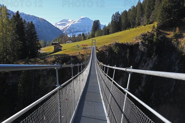 Rope suspension bridge over Hohenbachtal