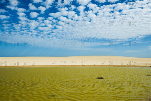 Pluvial lake in the dunes