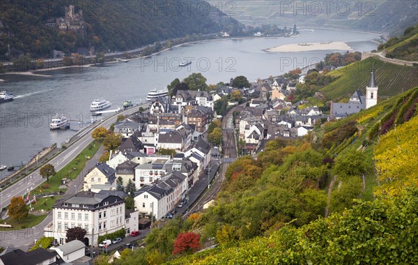 View of Assmannshausen and the Rhine Valley