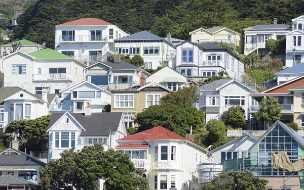 Wooden houses in Oriental Bay