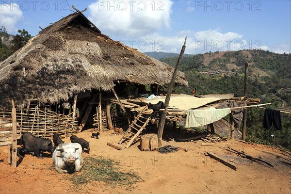 Typical cottage in a mountain village of the Ann tribe