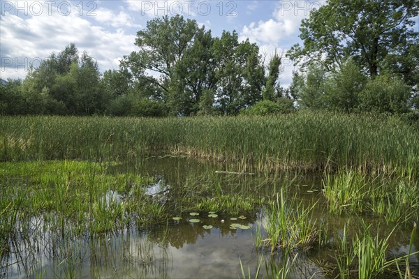 Biotope