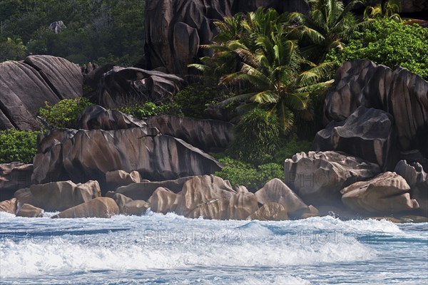 Sea with granite rocks and palm trees